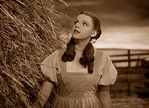 Dorothy - The Wizard of Oz Photo (40255177) - Fanpop