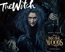 The Witch Wallpaper - Into the Woods (Disney) Wallpaper (38692477) - Fanpop