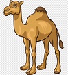 Camello marrón, dibujos animados de camellos, material de camellos de dibujos animados ...
