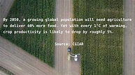Solving for Zero: CGIAR Research Highlighted Among Climate Innovations ...