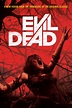 Poster Evil Dead (2013) - Poster Cartea morților - Poster 1 din 23 ...