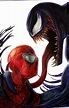Spiderman And Venom Sketch