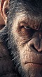 Top 999+ Planet Of The Apes Wallpaper Full HD, 4K Free to Use