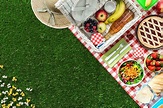 Consejos para ir de picnic sano y seguro - VVS | VVS