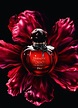 Hypnotic Poison Eau de Parfum Christian Dior perfume - a fragrância ...