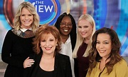 The View Season 25 Cancelled or Renewed? 2021 Release Date & Latest ...