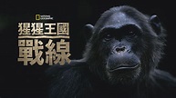 觀看猩猩王國：戰線 | 全套電影 | Disney+