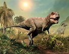 Tyrannosaurus Rex: Steckbrief + 8 Merkmale des Dinosauriers