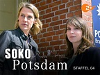 Amazon.de: SOKO Potsdam, Staffel 4 ansehen | Prime Video