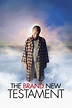 The Brand New Testament (2015) - Posters — The Movie Database (TMDB)