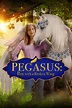 Pegasus: Pony With a Broken Wing (2019) - Posters — The Movie Database ...