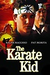 Cartel de Karate Kid: El momento de la verdad - Foto 2 sobre 7 ...