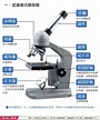 複式顯微鏡的構造與使用--Joanna @ 陽光英文繪本讀書會 :: 痞客邦