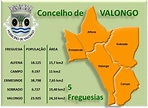 BELA D'ERMESINDE: FREGUESIAS DE VALONGO