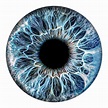 Iris Photo – Turn your eye into stunning artwork | Eyeball art, Iris ...