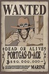 One Piece - Wanted Ace Poster, Affiche | All poster chez Europosters