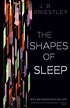 The Art of M. S. Corley: The Shapes of Sleep