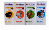 Bravecto Pastilla Antipulgas Para Perros De Cualquier Tamaño - $ 489.00 ...