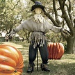 Giant Lifesized Scarecrow | The Green Head