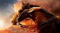Arriba 24+ imagen caballo de guerra gnula - Abzlocal.mx