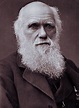 File:Charles Darwin photograph by Herbert Rose Barraud, 1881.jpg ...