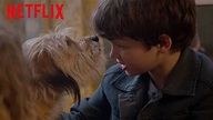 BENJI | Trailer oficial [HD] | Netflix - YouTube
