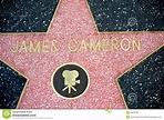 James Cameron En La Caminata De Hollywood De La Fama Imagen de archivo ...