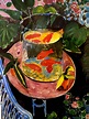 Henri Matisse Wallpapers - Wallpaper Cave