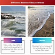 Tides vs Waves: Difference and Comparison