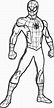 Dibujos Para Imprimir Y Colorear Gratis Spiderman Dibujos De Spiderman ...