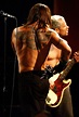 Anthony Kiedis back tattoo | Red hot chili peppers, Red hot chili ...