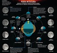 Las 8 fases de la Luna (y sus características)