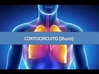 Cortocircuito - Shunt - Fisiopatología respiratoria - YouTube