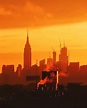 A striking Orange sunset over Manhattan | Orange city, Sunset city ...