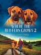 Where the Red Fern Grows: Part Two (Video 1992) - IMDb