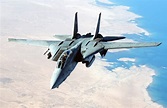 F-14 Tomcat: The Supersonic Fighter - History