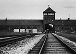 Medicine After the Holocaust - TMC News