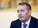 Brexit: Liam Fox admits UK doesn't have the 'capacity' to strike trade ...