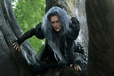 INTO THE WOODS Image with Meryl Streep as The Witch