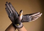 VIRAL PHOTOS: AMAZING HAND PAINTED HANDS: BIRD - HAND PAINTED HAND