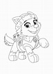 Paw Patrol Everest Coloring Pages - 4 Free Printable Coloring Sheets | 2021