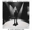 Singer Luke James Has Just Released His First Live Project “ A Live ...