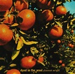 Shannon Wright - Dyed In The Wool (2001, CD) | Discogs