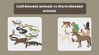 Cold-blooded vs Warm-blooded animals