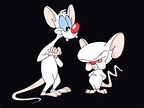 SCIENTIFICALLY ACCURATE™ PINKY AND THE BRAIN