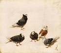 Pigeons - Jose Ruiz Blasco en reproduction imprimée ou copie peinte à l ...