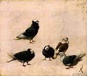 Jose Ruiz Blasco - Pigeons, 1888 | Art, Picasso, Pablo picasso