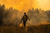 Fire on the Mountain: Balancing the Risks and Rewards of Wildfire ...