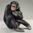 Monkey Laughing Face Funny Picture | Monkeys funny, Funny animal ...