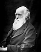 Charles Darwin, fundador de la biología moderna, nació hace 200 años ...